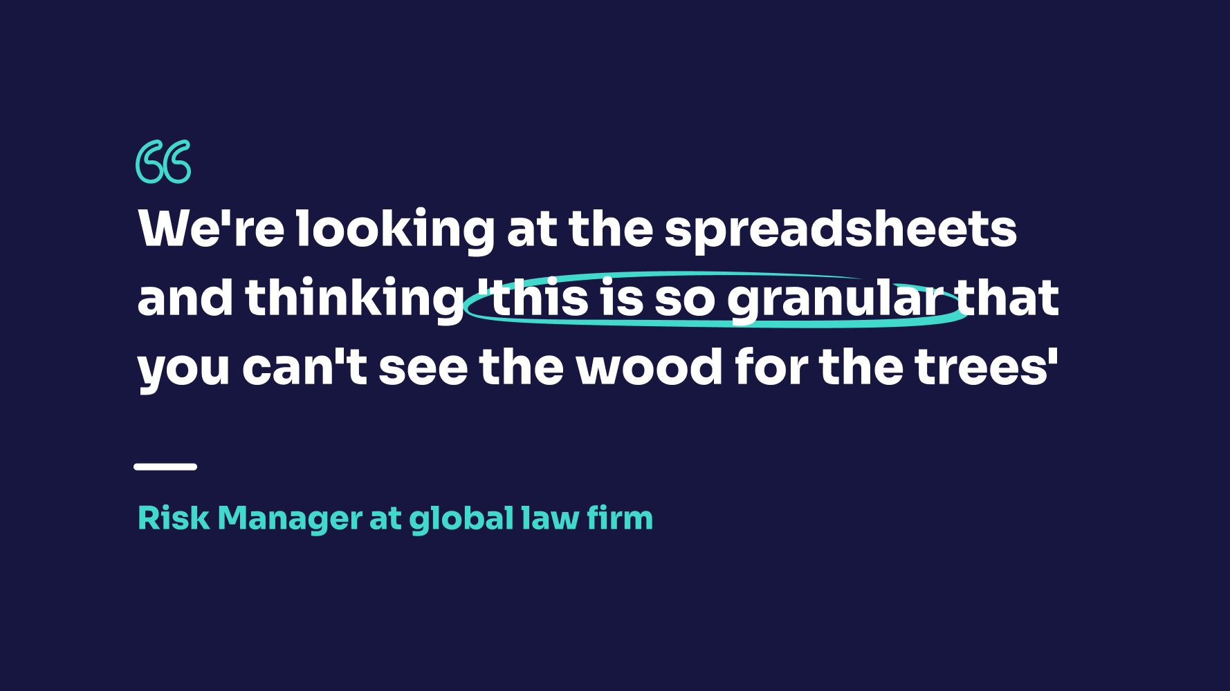 A quote from a Risk Manager at a global law firm highlighting the importance of enterprise risk management software. It says "We're looking at the spreadsheets and thinking 'this is so granular that you can't see the wood for the trees'".